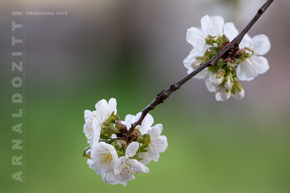 Natura e Paesaggi 2015